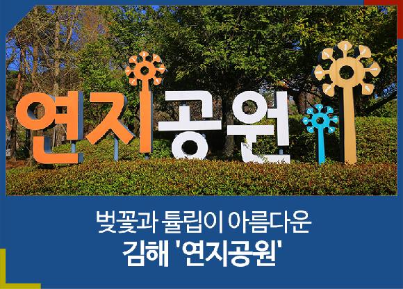 [경남 김해/김해 랜선 여행]  벚꽃과 튤립이 아름다운 김해 연지공원의 파일 이미지